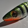 Gewicht/Refleks - obrazek 3