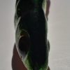 Lama/Refleks - obrazek 3