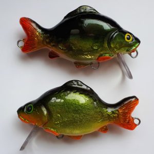 Karp Królewski