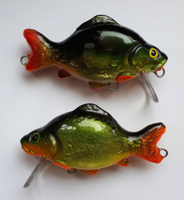 Karp Królewski